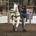 Agriculture and rodeo are a way of life for her family, says Rayel Daines, shown here with her go-to horse Rev.