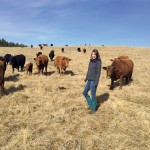 woman in a pasture with cattle