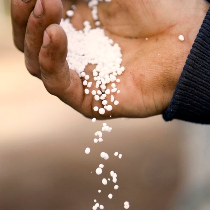 fertilizer beads spilling from a hand