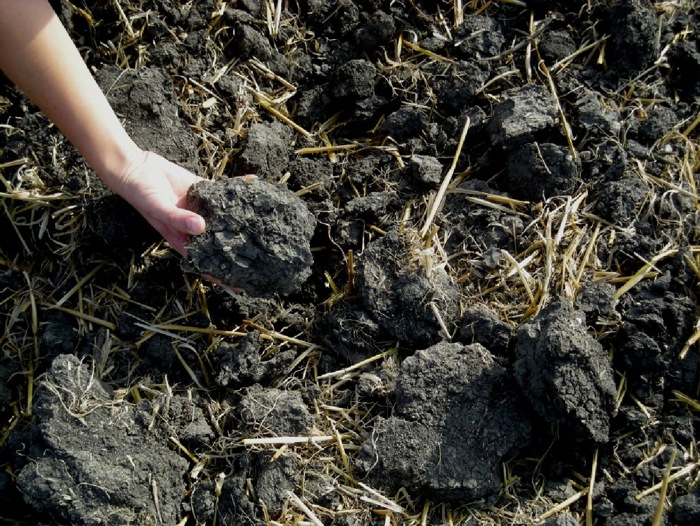 soil being turned by hand