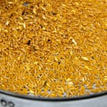 grain sample dish