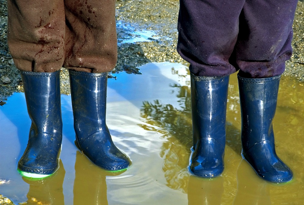 Reporter’s Notebook: Foolish footwear choices — and other crop walk lessons