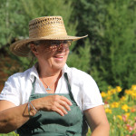Daylily farming is a labour of love for Carolyn Bondy and her husband Jeff.