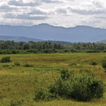 Many grazing leases are along the foothills, an area that is also popular with recreationists.