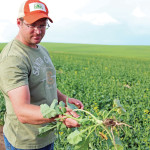 After confirming herbicide-resistant wild oats in a field, Jay Schultz plans to diversify his crop and chemical rotations.