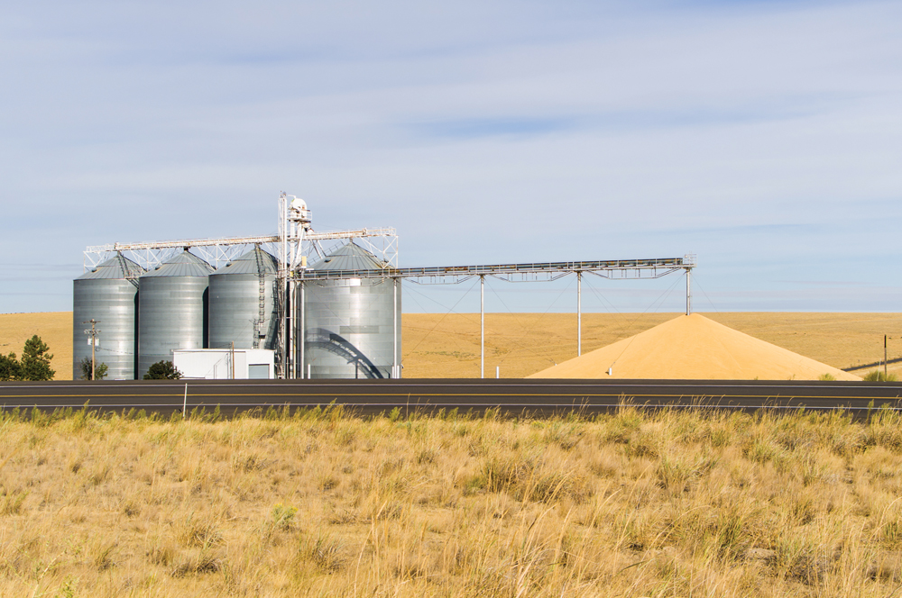 You need to find and identify pests in stored grain to determine  the right control method.