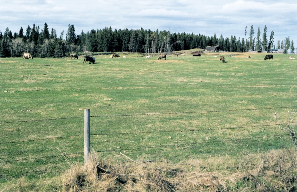 Livestock welfare funding available