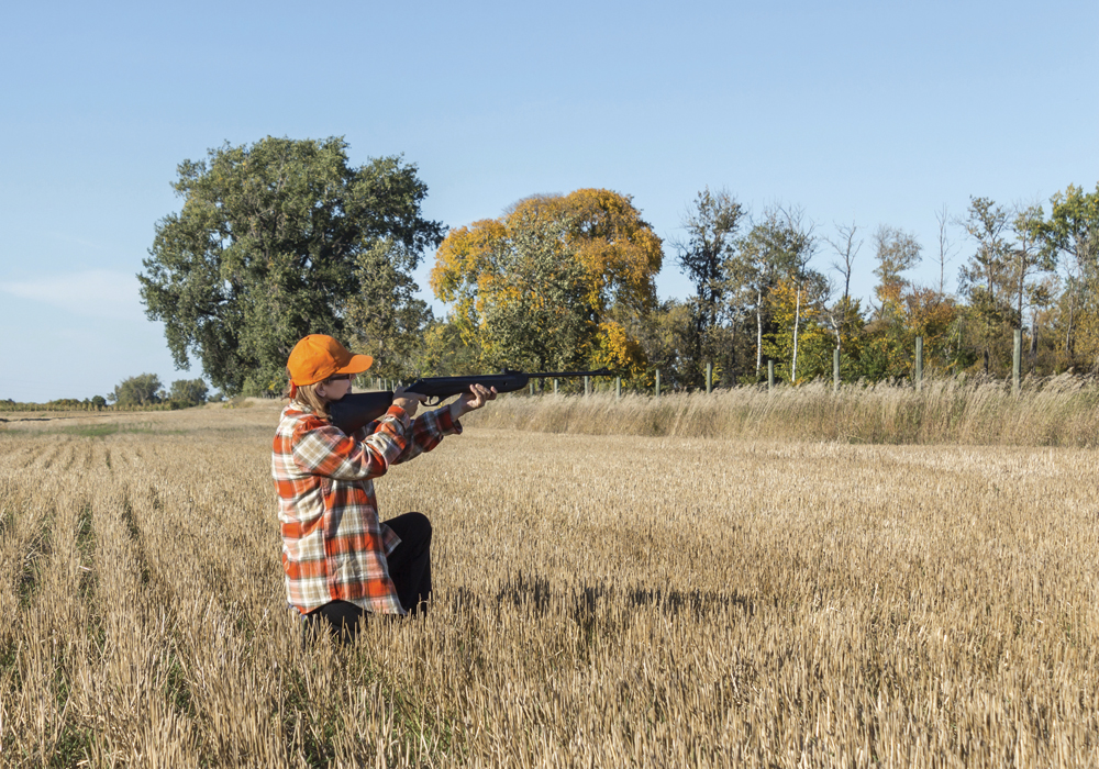 Bird hunting is believed to be the leading cause of buckshot contamination on cattle.