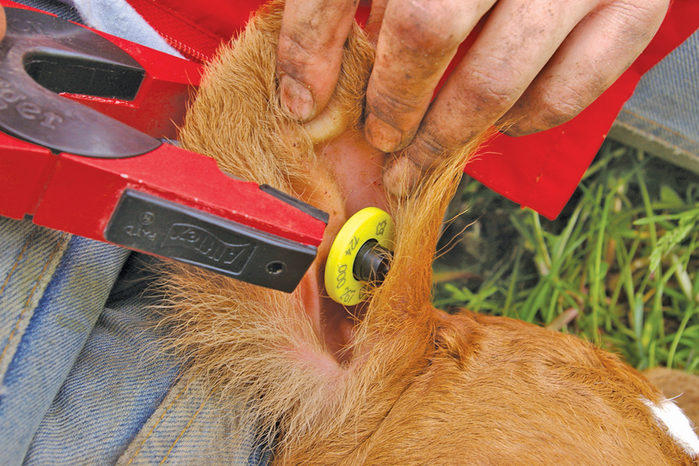 Tool puts traceability service providers on the map