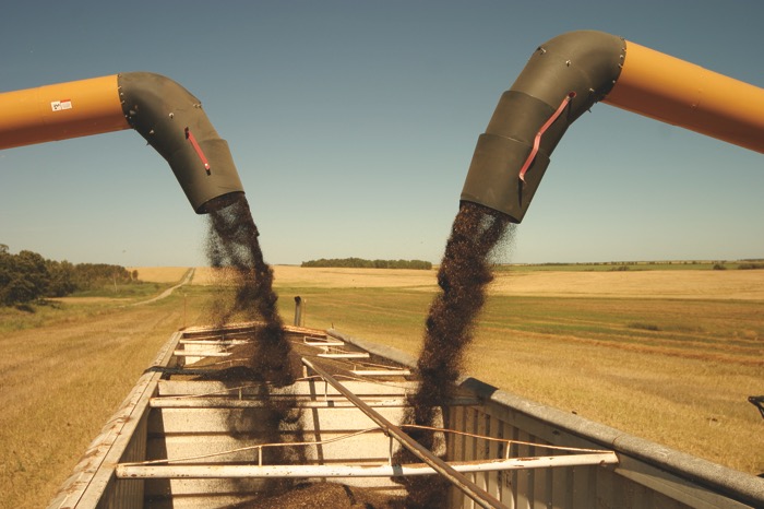Dry weather keeps harvest rolling, pasture conditions rate poor