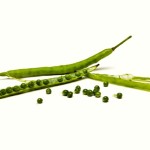 Oilseed Rape Pods