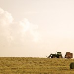Boosting hay stand conditions