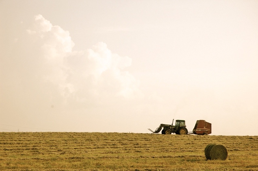 Boosting hay stand conditions