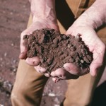 Database for gauging soils available