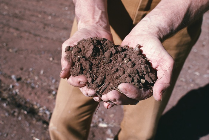 Database for gauging soils available