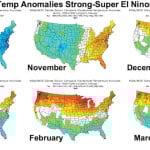 This graphic shows monthly temperature anomalies across the U.S. during strong El Niño years — blue/green indicates cooler-than-average temperatures while red/orange are for warmer-than-average temperatures. While the map doesn’t cover Canada, it is fairly easy to imagine or extrapolate the data northward to cover most of the southern and central Prairies. Looking at the different maps, what really jumps out are the well-above-average December temperatures across the northern states. These warmer-than-average temperatures look to continue right through to the end of winter.