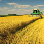 Which crop makes you the most money? There’s no way to know without doing a cost-of-production breakdown.