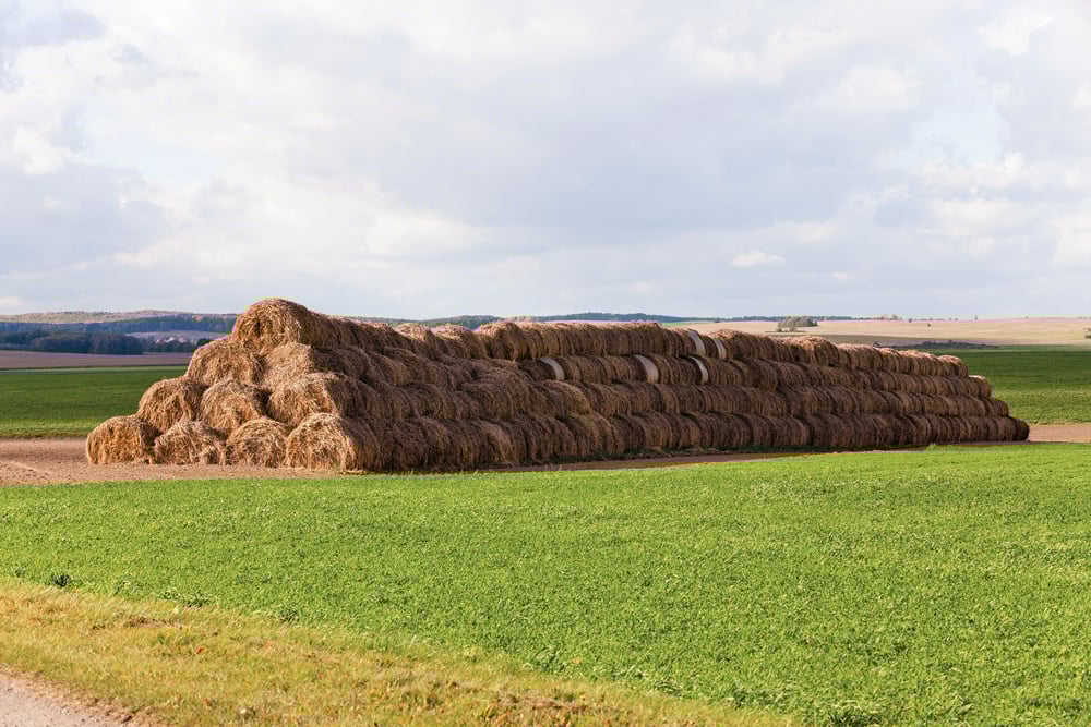 The pyramid stack is “probably the worst way to store the hay,” says a provincial forage specialist. 