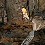Alberta had a busy season for wildfires