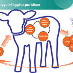 Crypto can quickly spread so you need to be vigilant and
use good management practices.