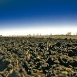By the numbers: Crop forecast by soil zone