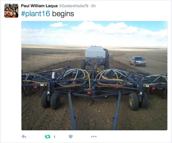 On Monday, producer Paul Laqua, in the Foremost area, about 50 km south of Bow Island, also took to the field.