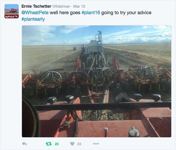 About 150 km west, Ernie Tschetter, farm boss for the Thompson Colony at Fort Macleod, tweeted this photo on Saturday, citing advice from Ontario agronomist Peter Johnson.