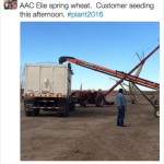 Some growers, weighing the risk of early-season killing frost against the rewards of early establishment, opted to get into the fields last week. Will Van Roessel, a pedigreed seed producer who farms near Bow Island, announced this load of wheat seed was going into a customer's field Thursday.