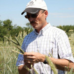 Organic grain producer Steven Snider swears by green manure
plow-down crops on his operation.