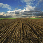 Though there are several ways to test soil, the most common is the zero- to six-inch representative sample.