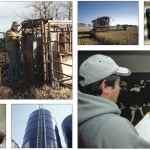 Identifying the most hazardous jobs on your farm is the first step in creating a farm safety plan.
