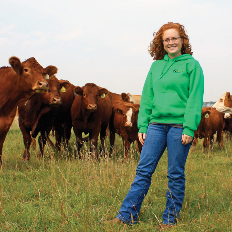 Reduce stress when handling cattle Alberta Farmer Express
