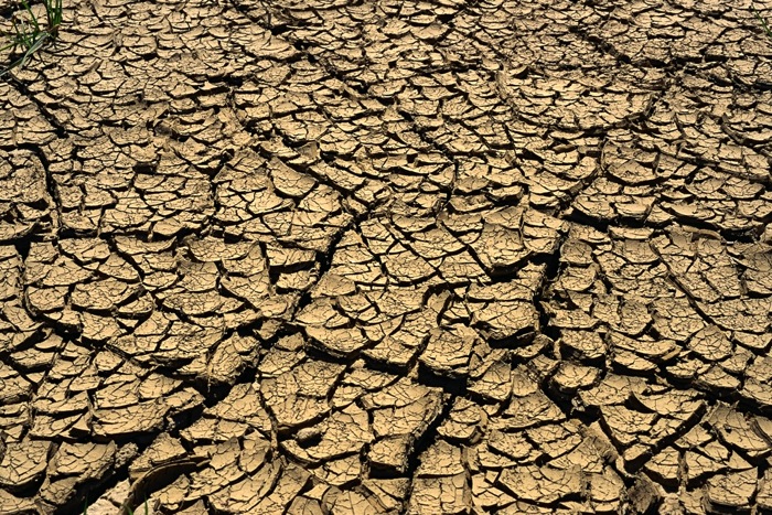 Cracked mud