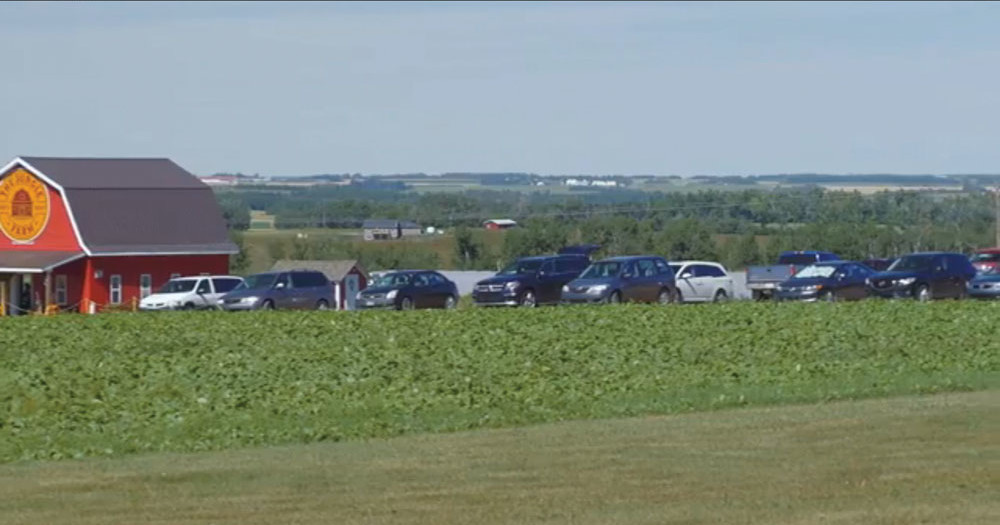 Parking is one of the factors to consider when  participating in Open Farm Days.