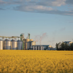 Cargill’s new facility near Camrose, which opened last summer, is part of the reason why crush is running at record rates.