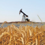 In the last year, the Surface Rights Board has received more than 750 new applications from producers who haven’t been paid for their oil leases.