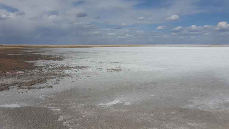 The effects of soil salinity on crop yields