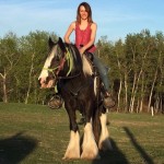 Krista Critch was one of many volunteers who helped to save horses and pets from the Fort McMurray wildfire.