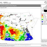 This map shows the total amount of precipitation that fell across the Prairies during the first 28 days of this year’s growing season. You can quickly see that a large part of Alberta and Saskatchewan had a dry start to the growing season. In contrast, southeastern Alberta, southwestern Saskatchewan, and much of central and eastern Manitoba have been much wetter.