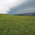 Last year’s prolonged dry spell has prompted more growers to take
out insurance this year or to boost their coverage level.