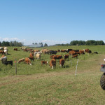 The productivity of every one of the 28 paddocks on Mark Burggren’s quarter section is precisely tracked.