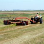 Roadside haying deadlines extended