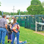 Ag in Motion boosts livestock programming for 2016