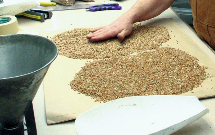 grain grading