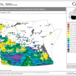 This map shows the total amount of precipitation across the Prairies during the first two months of this summer as a departure from average. Areas that are dark yellow to brown have seen below-average amounts; light-yellow, blue and green areas are near average; and dark-green, blue and purple areas have seen above-average amounts. You can see a large portion of the Prairies has been relatively wet, with southeastern Alberta and southwestern Saskatchewan being the wettest, receiving between 100 millimetres to more than 120 millimetres more precipitation
than average.