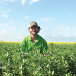 If you haven’t locked in lentil prices, keep a close watch on the markets as bigs can move 10 cents or more on spikes, said Alberta Pulse Growers’ Nevin Rosaasen.