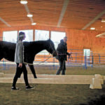 A couple runs through a trust exercise in a Can Praxis course. The program uses equine therapy to help veterans suffering from PTSD and their spouses communicate.