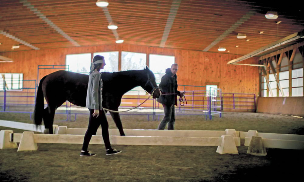 A couple runs through a trust exercise in a Can Praxis course. The program uses equine therapy to help veterans suffering from PTSD and their spouses communicate.