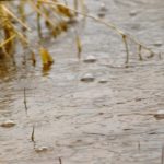 rain on cropland