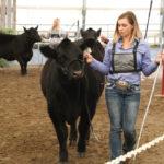 Although livestock clubs remain the foundation of 4-H, there are now 35 projects that members can undertake.